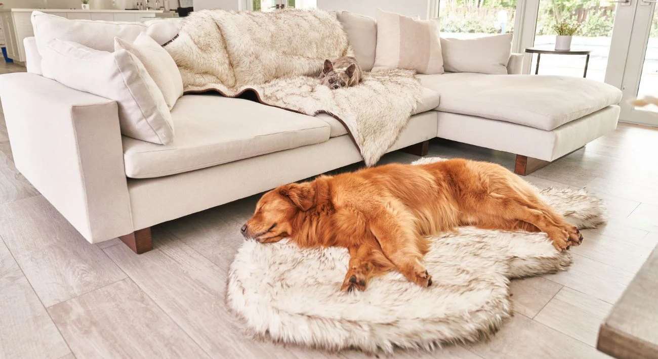 Paw.com 04-17-23 - Image 2
