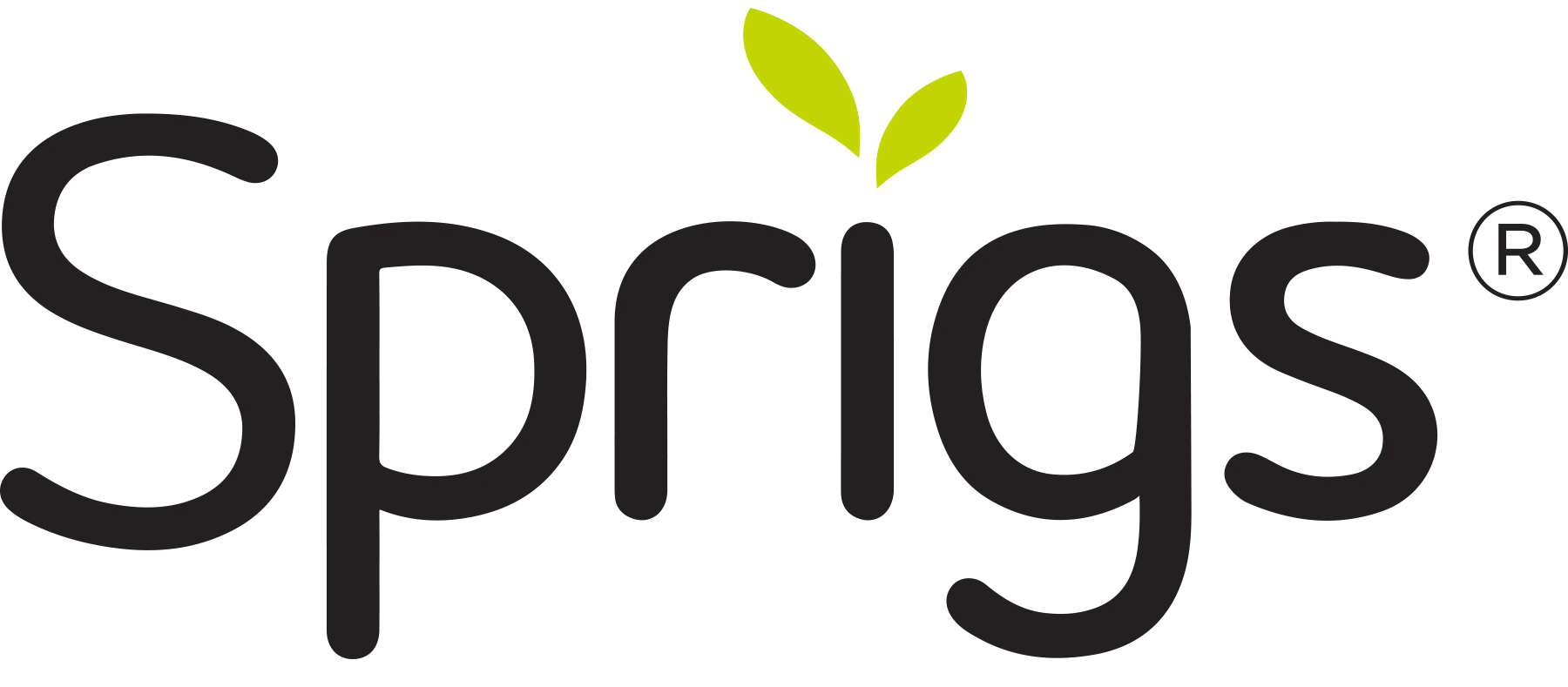 Sprigs 12-01-23